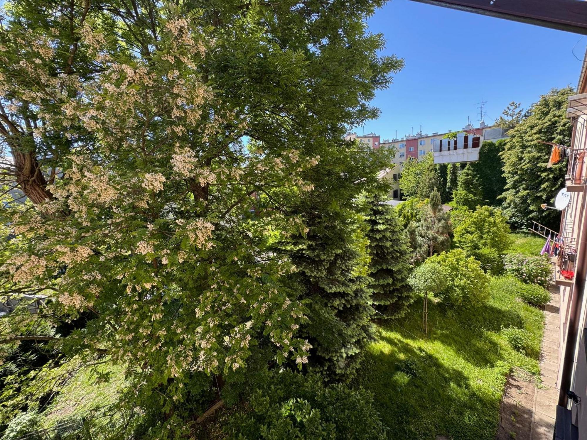 Apartament Akacja Centrum Rzeszow Dış mekan fotoğraf